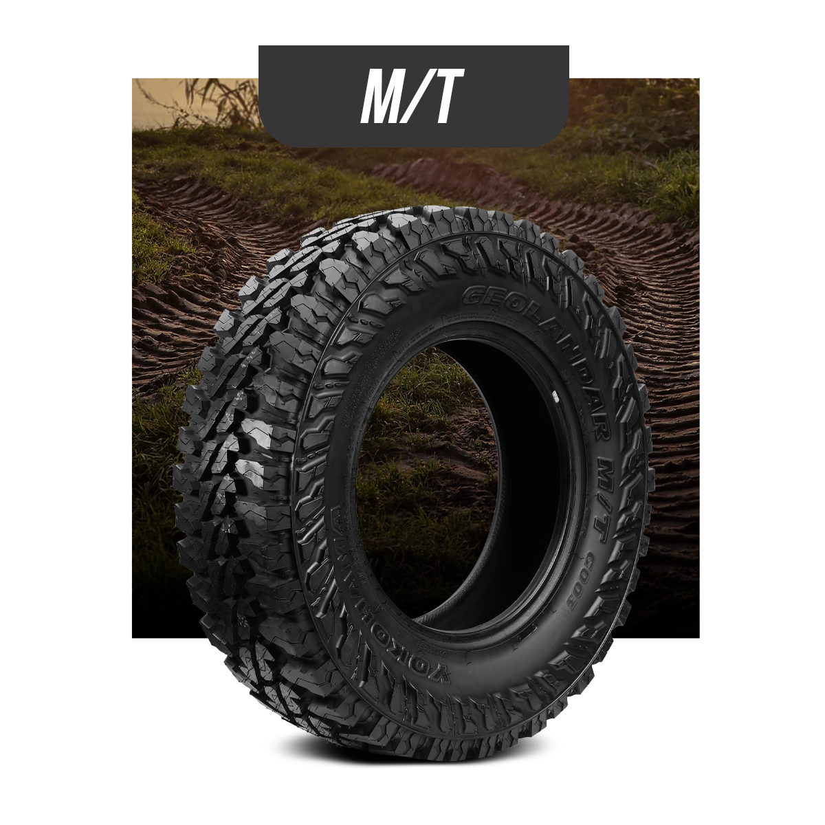 MT