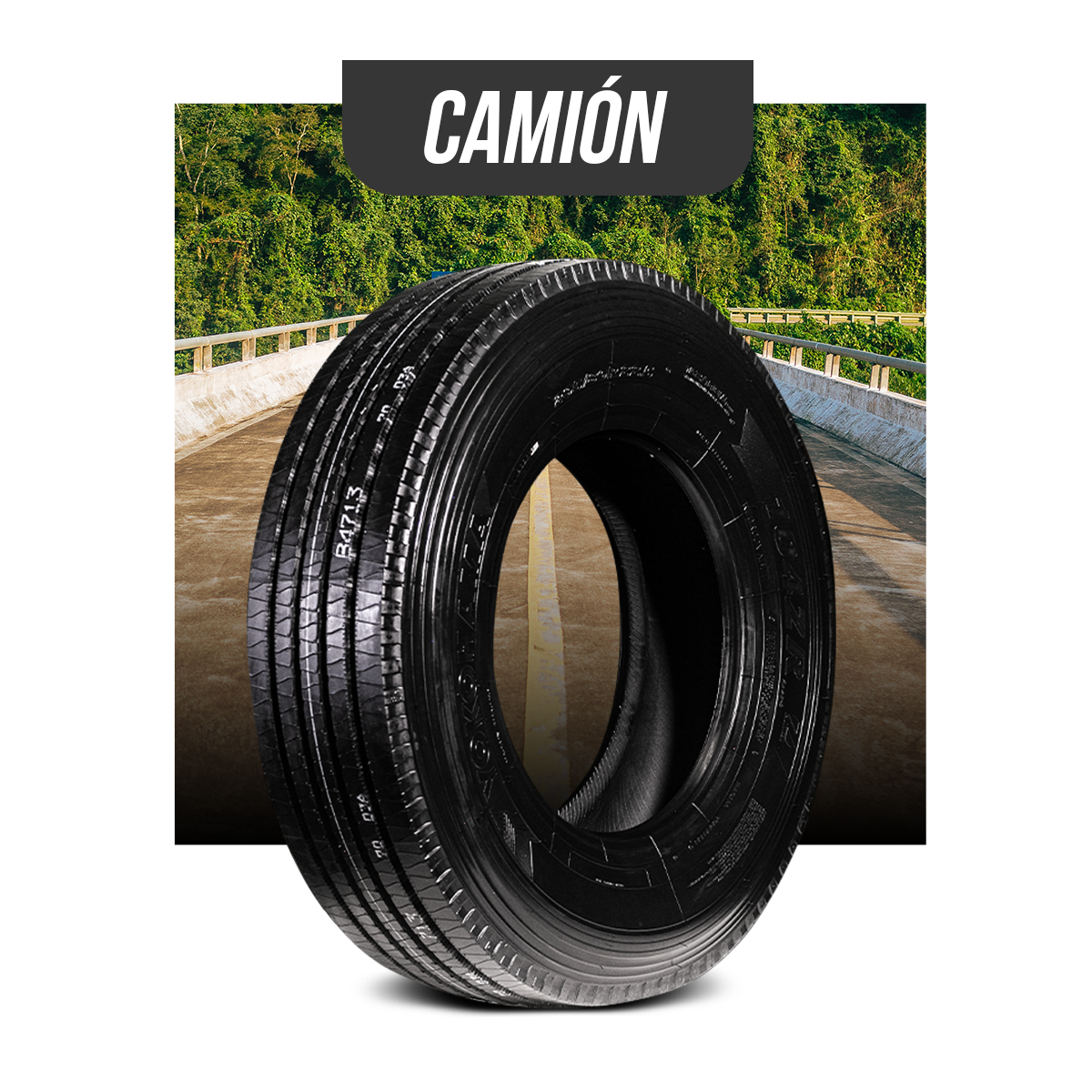 camión